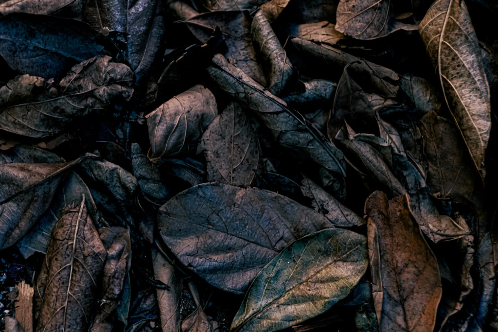 Общественное обсуждение проекта Закона о табачном сырье, табачных, нетабачных никотиносодержащих изделиях, электронных системах курения и жидкостях для них, системах для потребления табака 