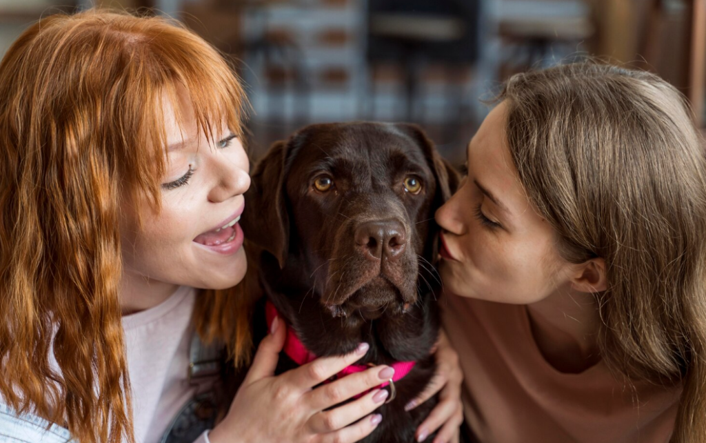 МЖКХ предлагает обсудить проект постановления, направленного на комплексное регулирование значимых вопросов в области обращения с животными