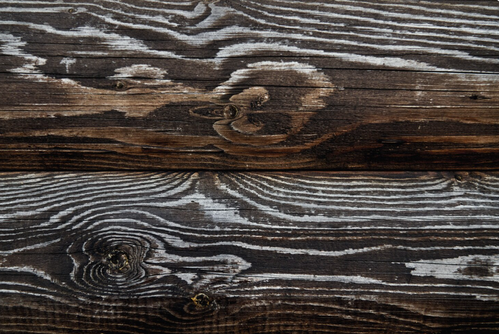 Беллесбумпром предлагает обсудить проект постановления о лицензировании импорта отдельных видов товаров из древесины