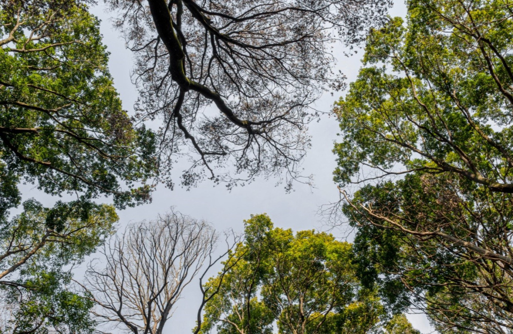 Минприроды предлагает обсудить проект постановления «О преобразовании памятников природы республиканского значения»